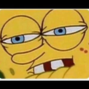 Meet your Posher, Pablo